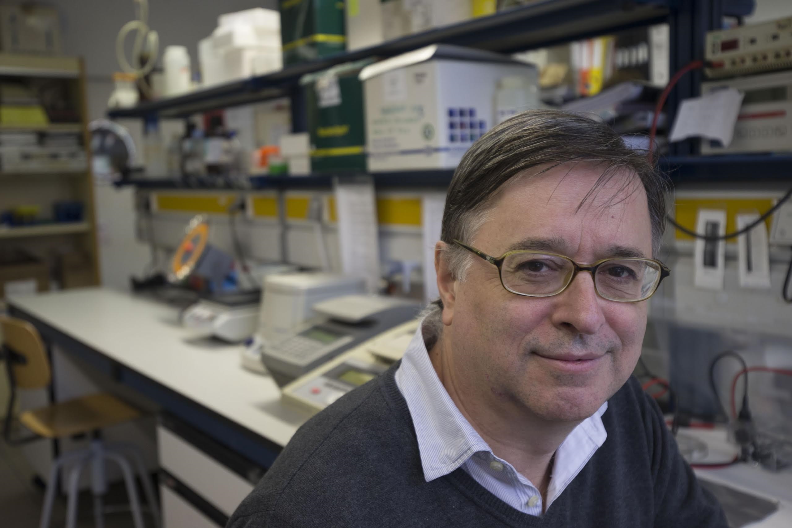 Investigadores del CIBEROBN y de la UB descubren el poder de los Omega-3 como activadores de la grasa parda, clave en el avance contra la obesidad y enfermedades metabólicas