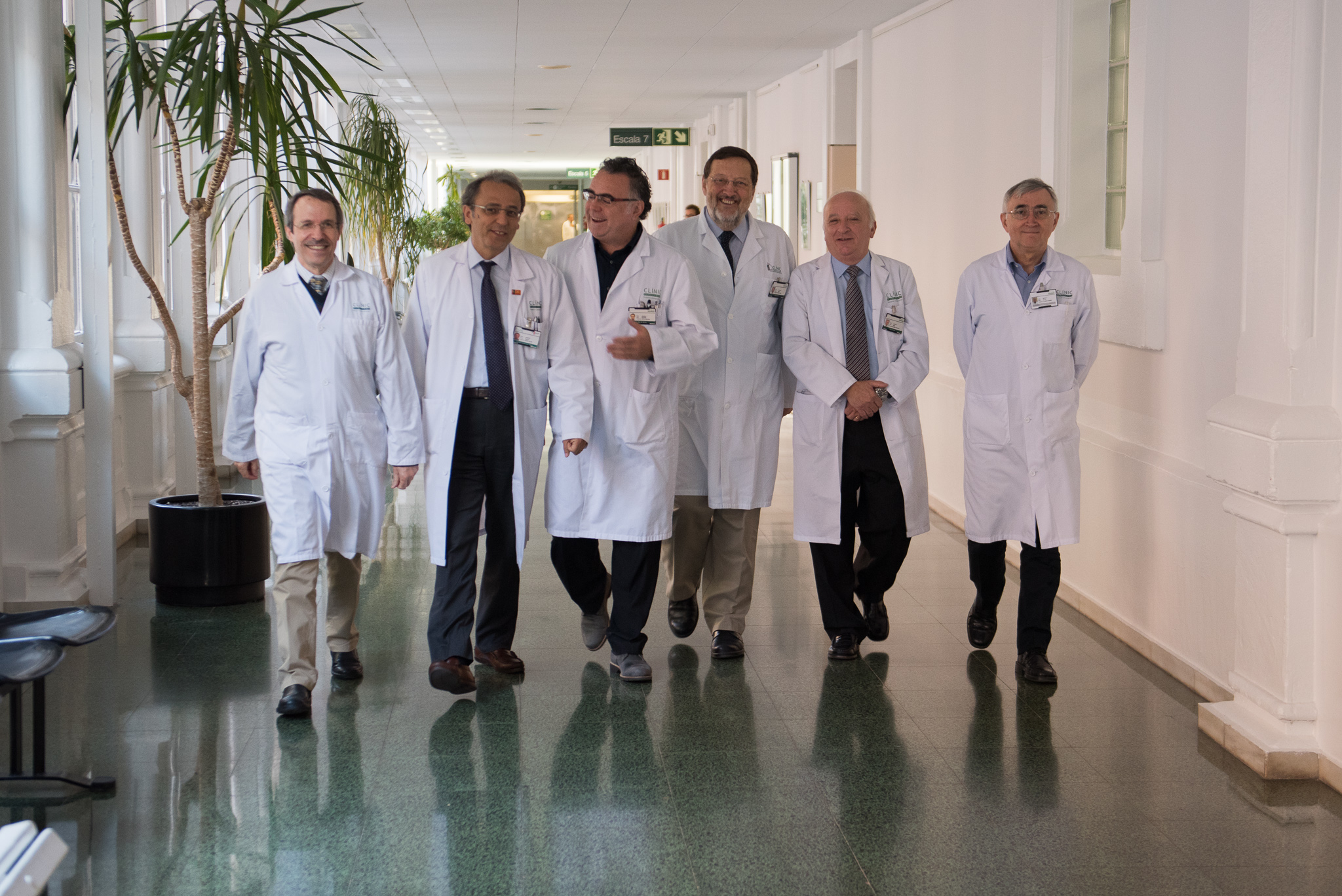 Siete investigadores del CIBER aparecen en la lista de los científicos más citados del mundo