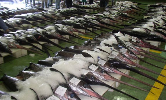 Un método de fluorescencia detecta la contaminación de mercurio en pescado Un método de fluorescencia detecta la contaminación de mercurio en pescado