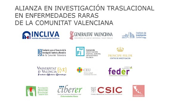 FEDER concede su Premio al Trabajo en Red a la Alianza en Investigación Traslacional en Enfermedades Raras de la Comunidad Valenciana FEDER concede su Premio al Trabajo en Red a la Alianza en Investigación Traslacional en Enfermedades Raras de la Comunidad Valenciana