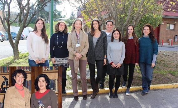 Identifican un nuevo tratamiento para la enfermedad de hígado graso no alcohólico Identifican un nuevo tratamiento para la enfermedad de hígado graso no alcohólico