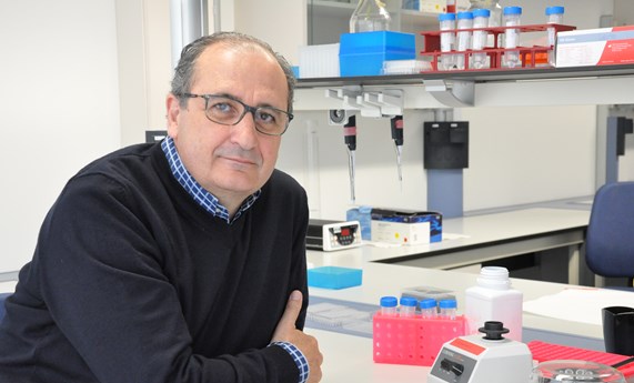 Identifican las bacterias del cuerpo humano más afectadas por enfermedades y medicamentos Identifican las bacterias del cuerpo humano más afectadas por enfermedades y medicamentos