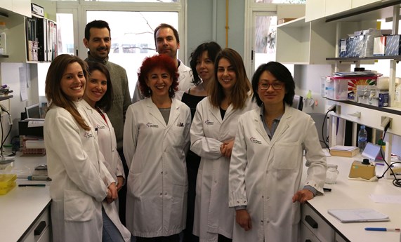 Descubren ocho biomarcadores de la enfermedad de Crohn que podrían evitar pruebas diagnósticas invasivas Descubren ocho biomarcadores de la enfermedad de Crohn que podrían evitar pruebas diagnósticas invasivas