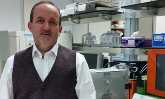 Desarrollan un nuevo bioadhesivo para mejorar la cirugía del pterigium Desarrollan un nuevo bioadhesivo para mejorar la cirugía del pterigium