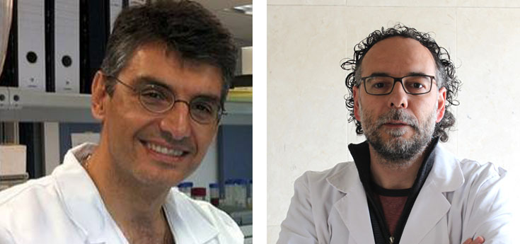 Estudian el efecto de ciertos antirretrovirales sobre la alteración de los vasos sanguíneos en pacientes con VIH