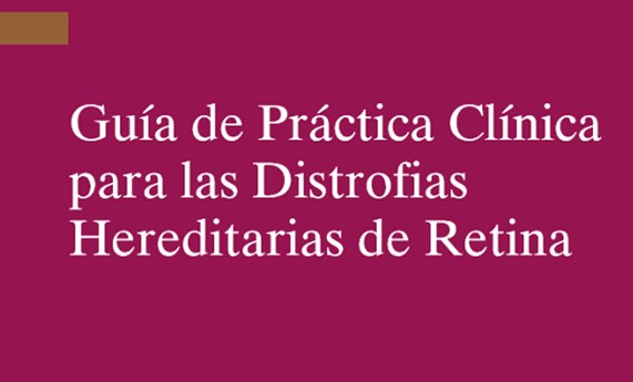 Investigadores del CIBERER participan en la Guía de Práctica Clínica para las Distrofias Hereditarias de Retina