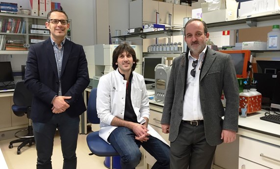 Nuevos dispositivos de gelatina que imitan la actividad del organismo en la regeneración ósea Nuevos dispositivos de gelatina que imitan la actividad del organismo en la regeneración ósea