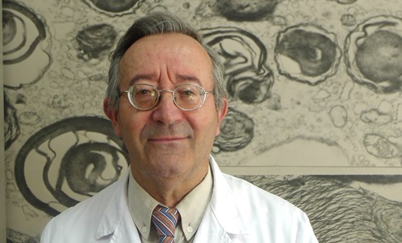 Jesús Egido de los Ríos, Premio Lección Conmemorativa Jiménez Díaz 2017 Jesús Egido de los Ríos, Premio Lección Conmemorativa Jiménez Díaz 2017