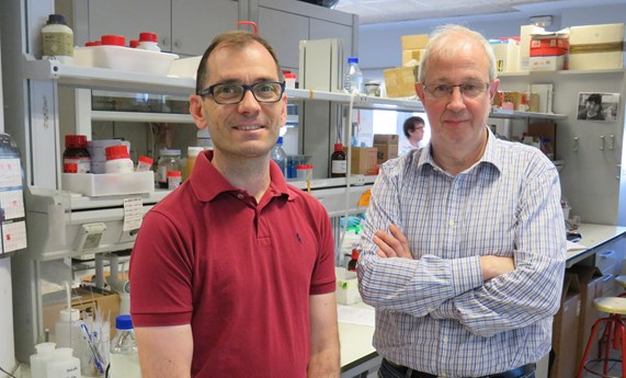 Lenguas electrónicas para detectar cáncer de próstata y de vejiga Lenguas electrónicas para detectar cáncer de próstata y de vejiga