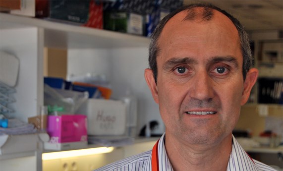 Identificados nuevos genes de predisposición y microRNAS involucrados en el cáncer hereditario Identificados nuevos genes de predisposición y microRNAS involucrados en el cáncer hereditario