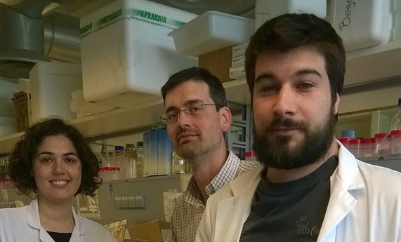 Premio de investigación Fundación Dr. Antonio Esteve para el estudio gallego que demuestra la eficacia de un fármaco para la diabetes en la reducción de peso Premio de investigación Fundación Dr. Antonio Esteve para el estudio gallego que demuestra la eficacia de un fármaco para la diabetes en la reducción de peso