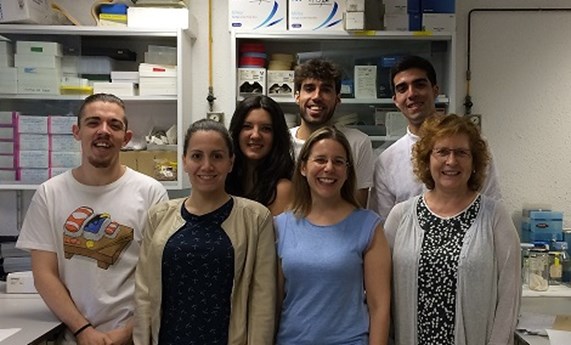 Nueva técnica para medir la actividad del tejido adiposo marrón, un órgano clave en el desarrollo de la obesidad Nueva técnica para medir la actividad del tejido adiposo marrón, un órgano clave en el desarrollo de la obesidad