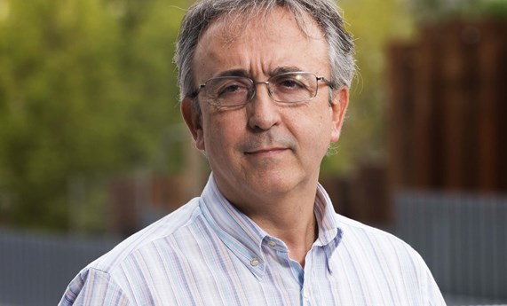 Un pequeño grupo de neuronas modula la cantidad de insulina que el páncreas debe liberar Un pequeño grupo de neuronas modula la cantidad de insulina que el páncreas debe liberar