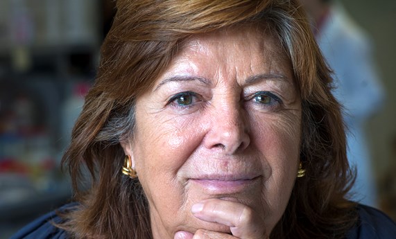 María Vallet Regí, Premio Julio Peláez a Pioneras de las Ciencias Físicas, Químicas y Matemáticas María Vallet Regí, Premio Julio Peláez a Pioneras de las Ciencias Físicas, Químicas y Matemáticas