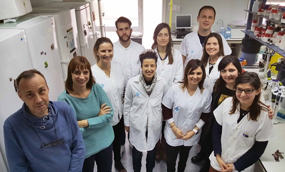 Identifican el papel de la proteína survivina en la expansión patológica del tejido adiposo Identifican el papel de la proteína survivina en la expansión patológica del tejido adiposo