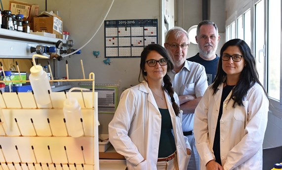 Desarrollan un innovador sistema que permite detectar células senescentes in vivo Desarrollan un innovador sistema que permite detectar células senescentes in vivo