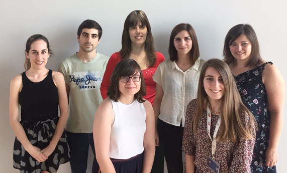 Demuestran que el hipotálamo regula la producción de grasas en el hígado Demuestran que el hipotálamo regula la producción de grasas en el hígado