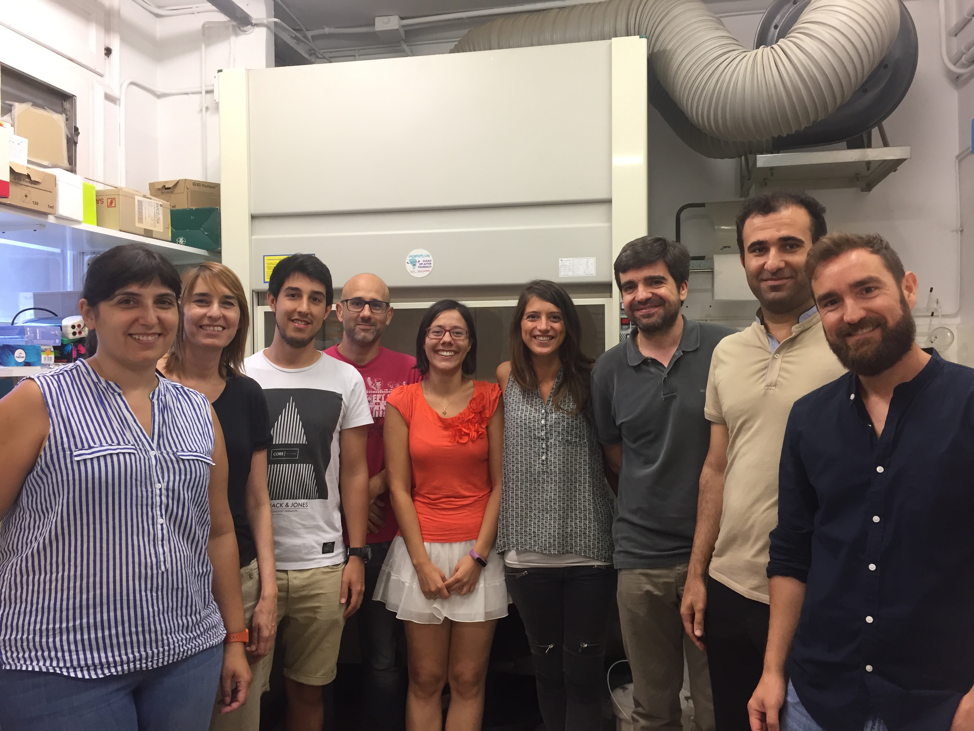 El aumento de los niveles de VLDL podría favorecer la aparición de resistencia a la insulina