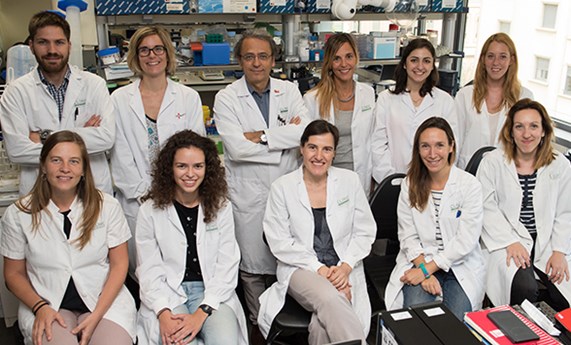 Caracterizan un nuevo subgrupo de tumores hepáticos que responderían al tratamiento con inmunoterapia Caracterizan un nuevo subgrupo de tumores hepáticos que responderían al tratamiento con inmunoterapia