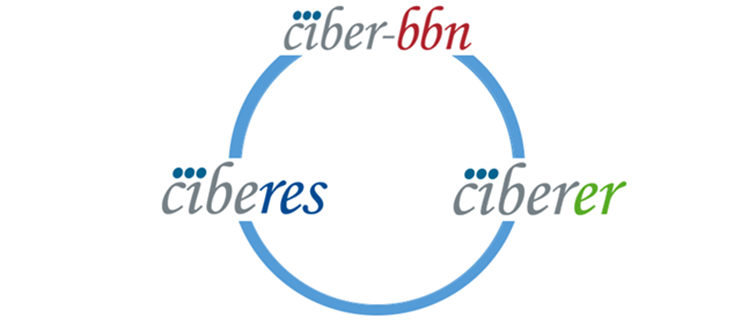 La Plataforma de Apoyo a la Internacionalización apoya cuatro protectos interCIBER